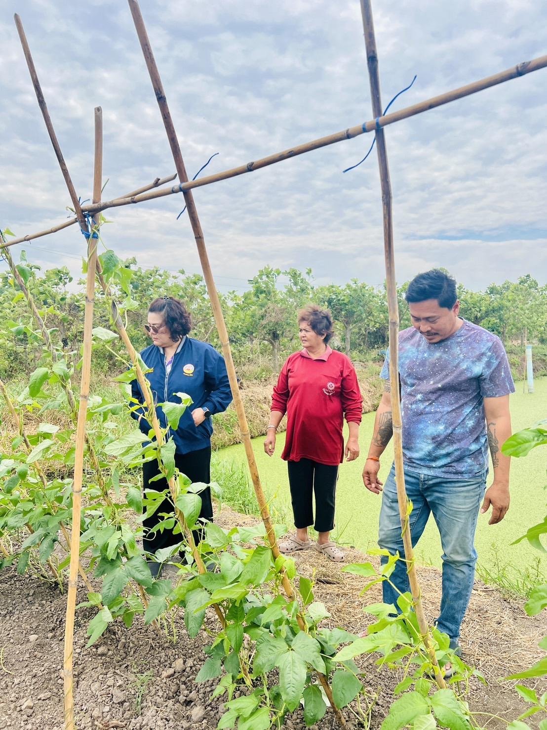 ภาพประกอบที่ 2