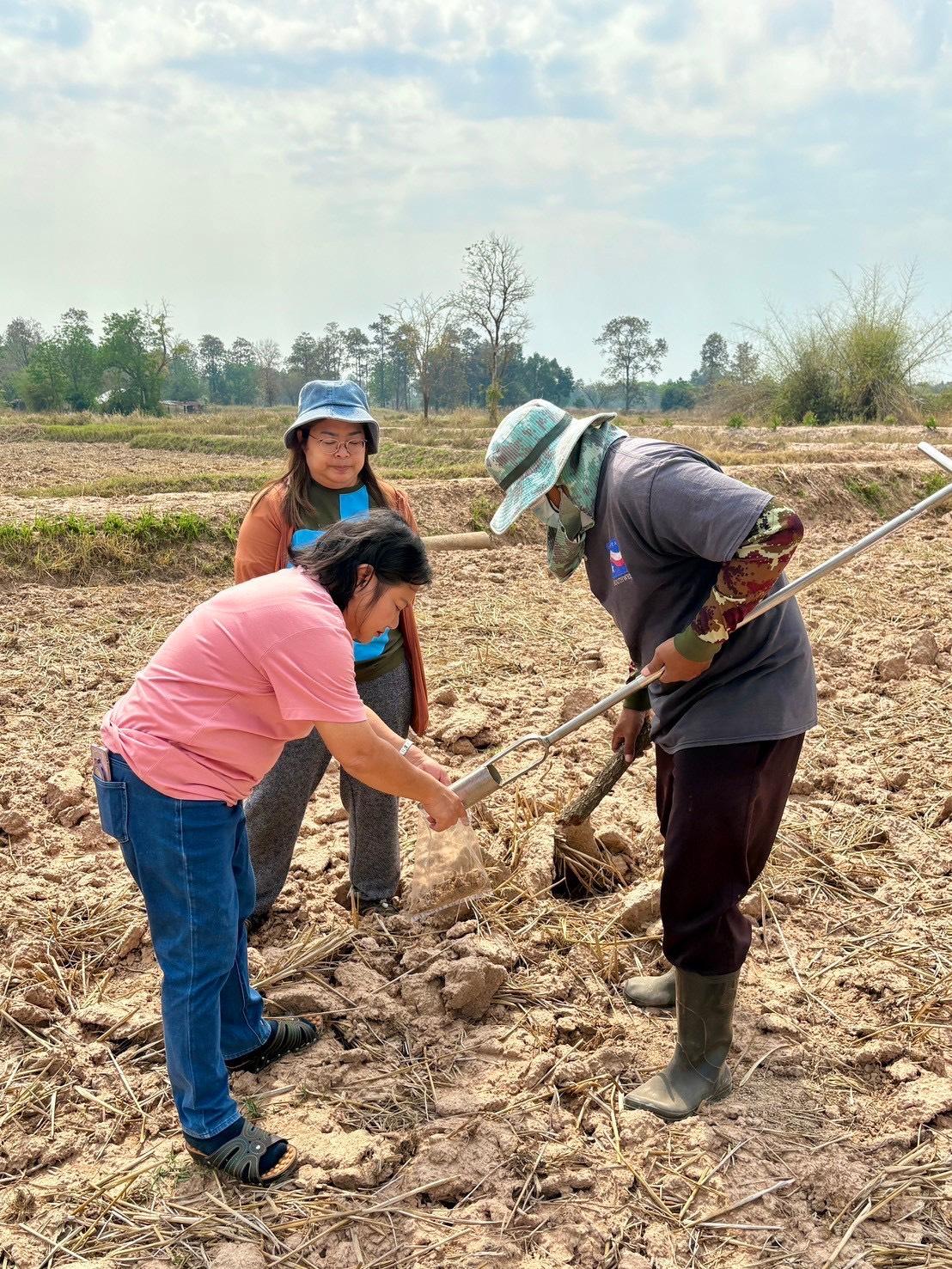 ภาพประกอบที่ 5