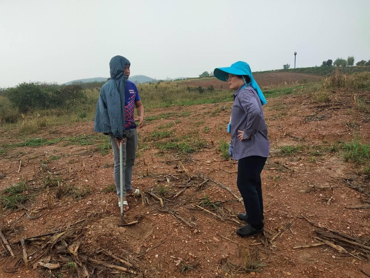 ภาพประกอบที่ 3