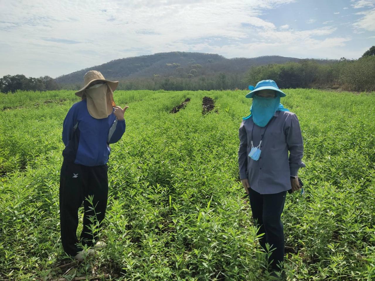 ภาพประกอบที่ 5