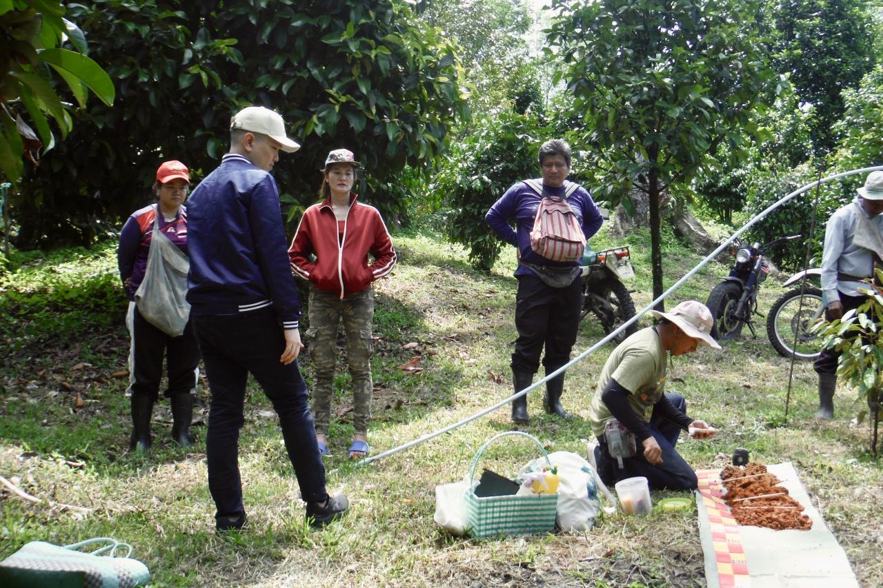 ภาพประกอบที่ 1