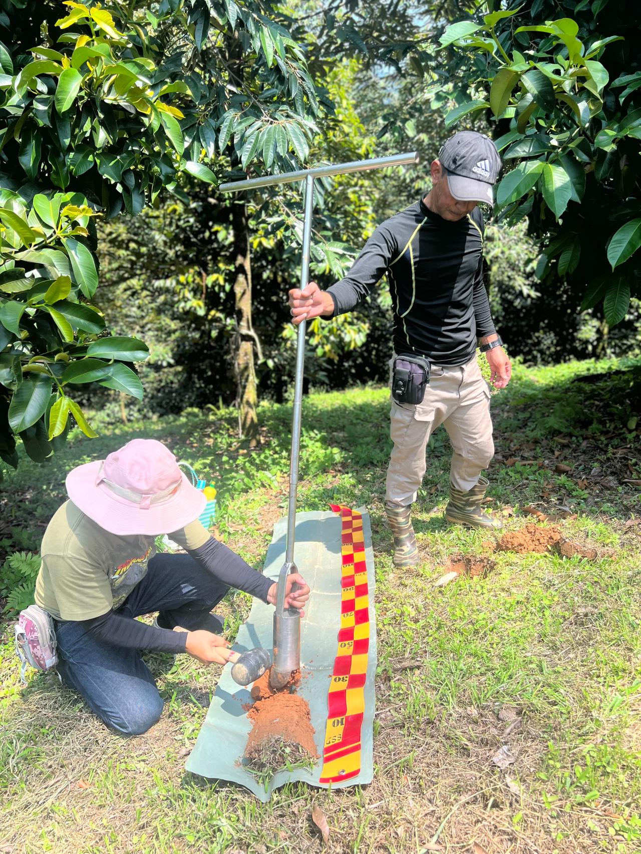 ภาพประกอบที่ 2