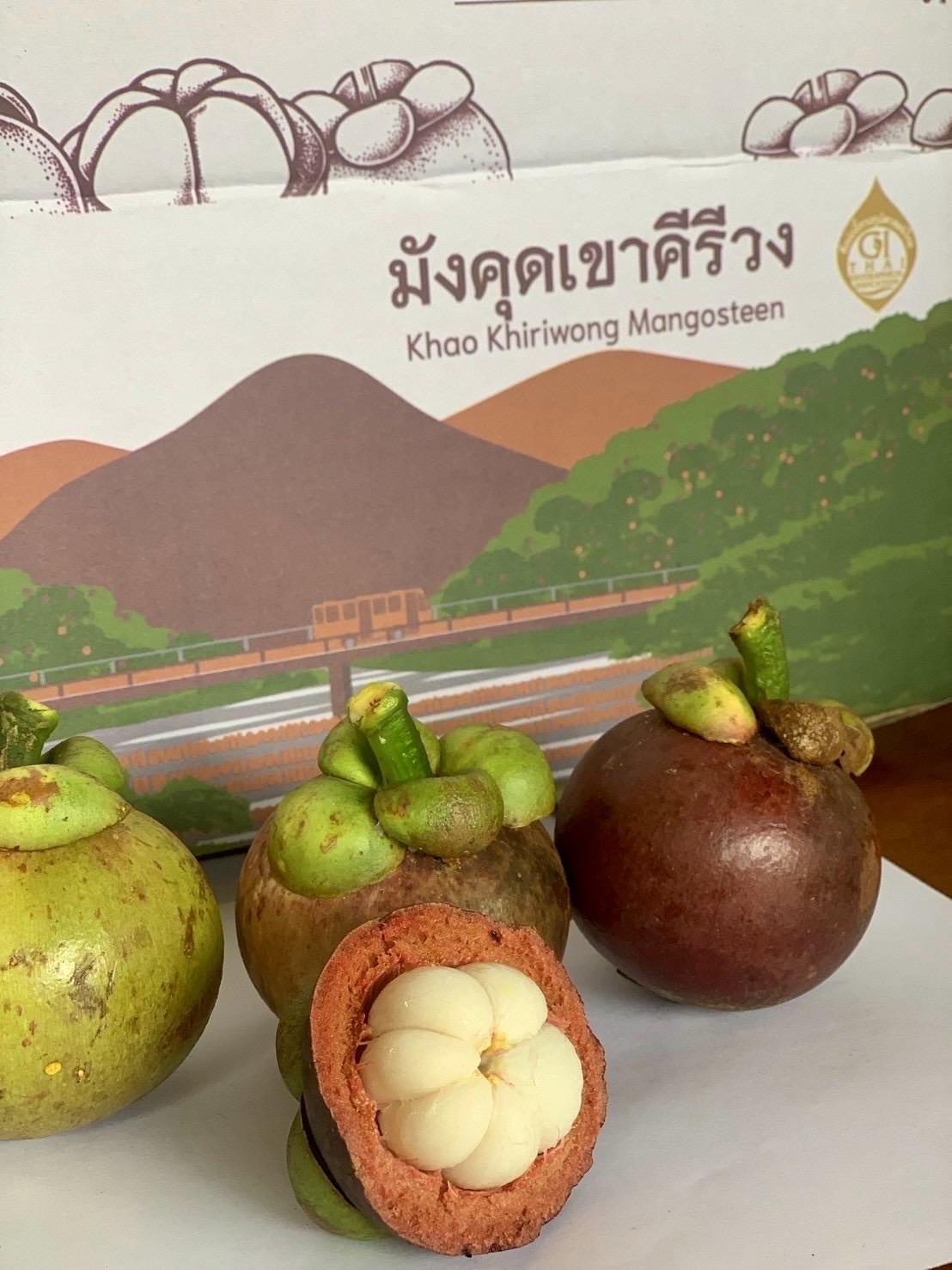 ภาพประกอบที่ 8