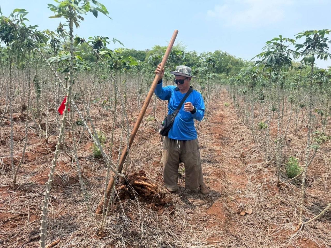 ภาพประกอบที่ 0