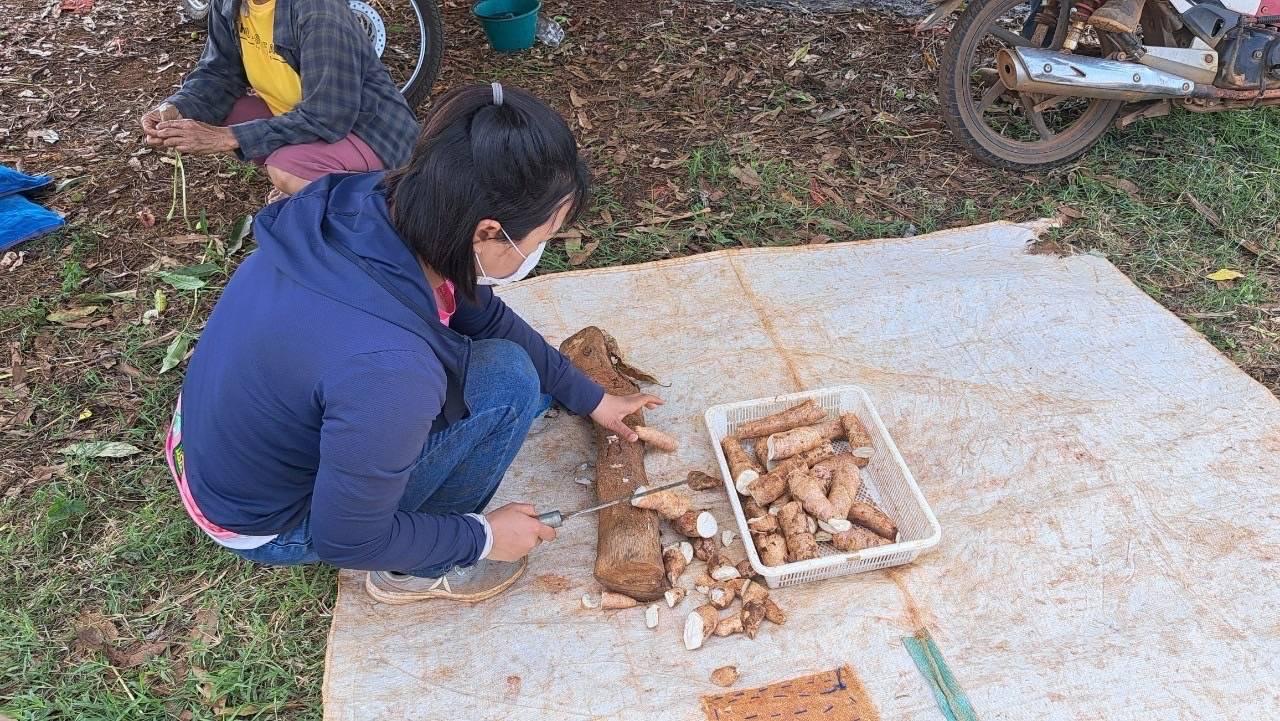 ภาพประกอบที่ 2