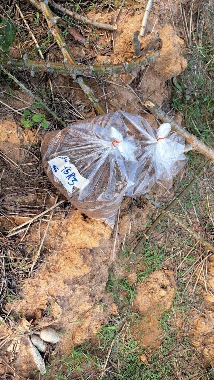 ภาพประกอบที่ 5