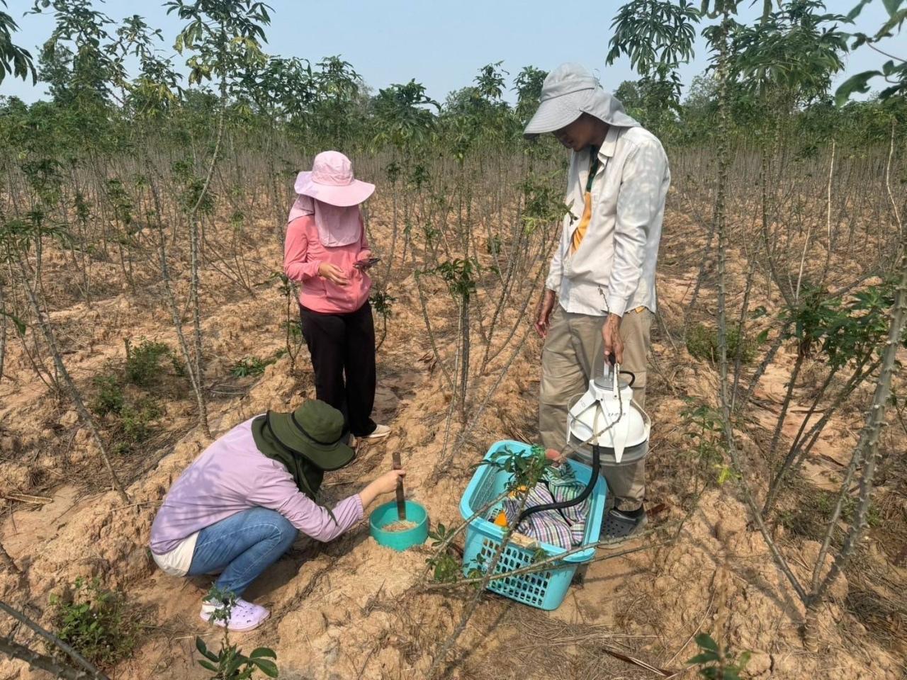 ภาพประกอบที่ 6
