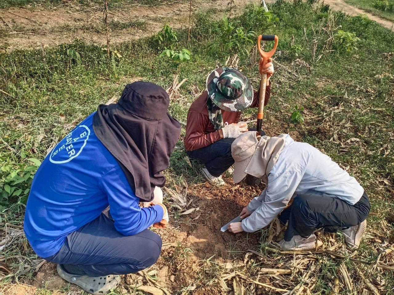 ภาพประกอบที่ 3