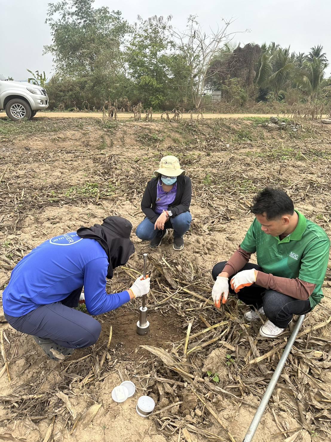 ภาพประกอบที่ 4