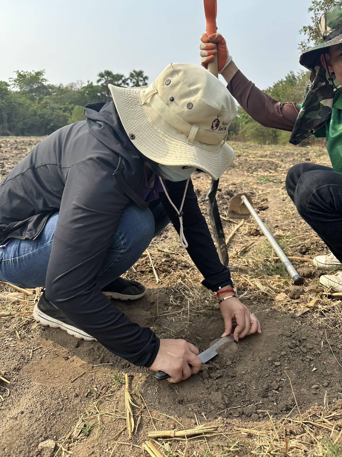 ภาพประกอบที่ 2