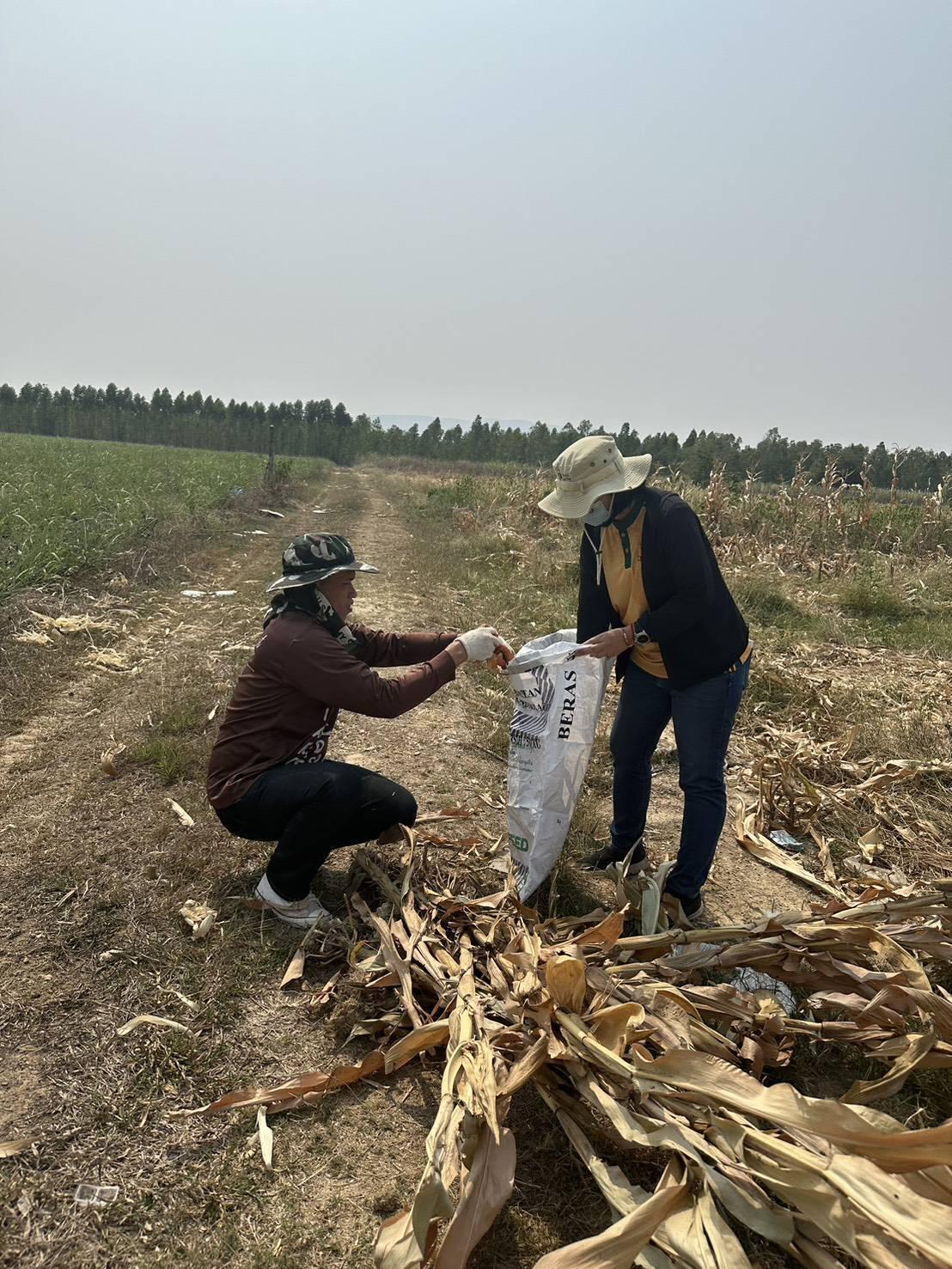 ภาพประกอบที่ 5