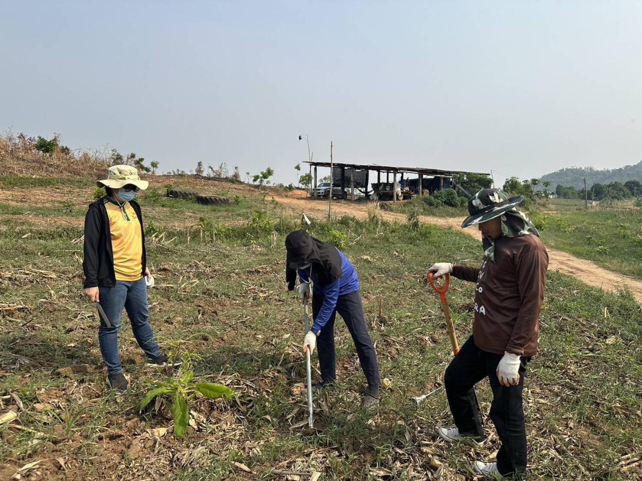 ภาพประกอบที่ 6