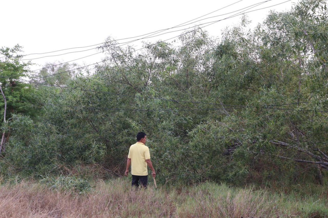 ภาพประกอบที่ 1