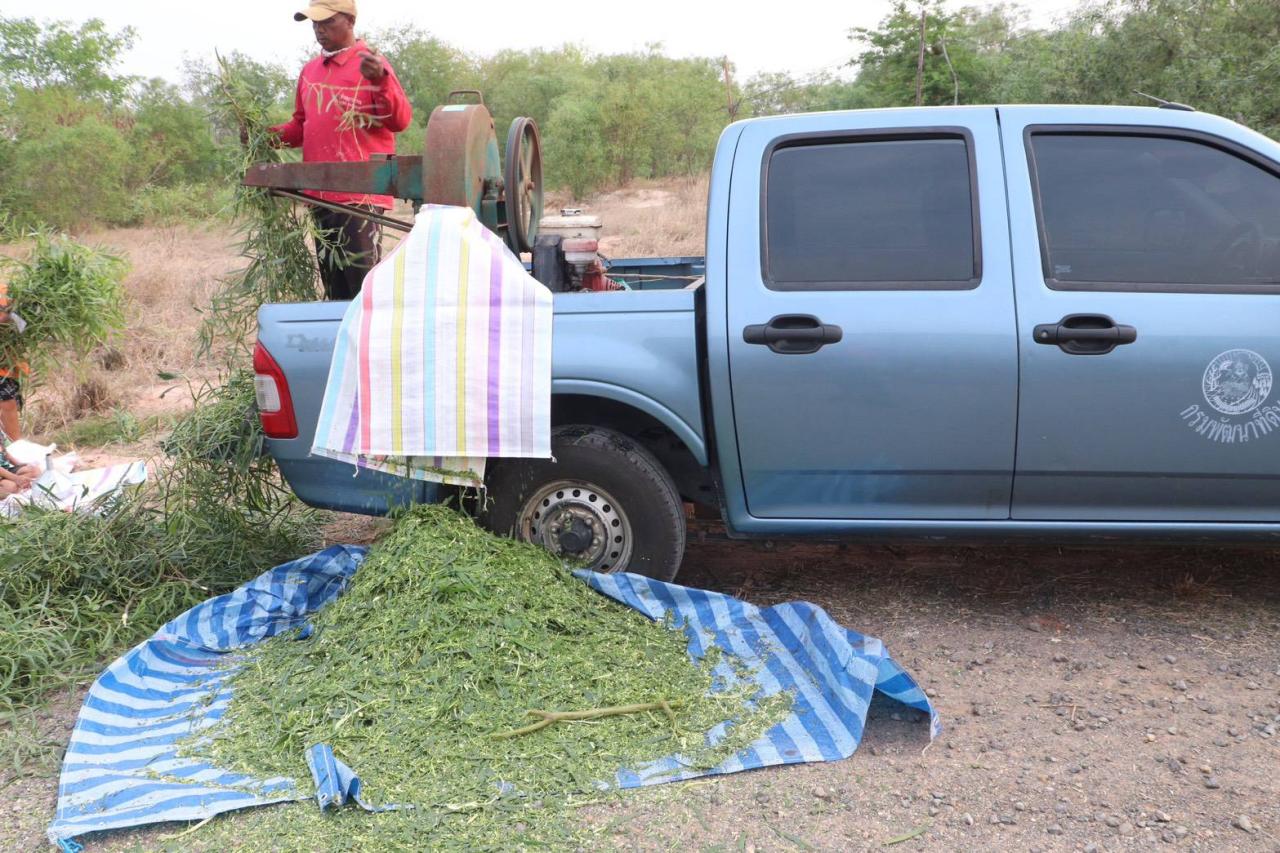 ภาพประกอบที่ 2