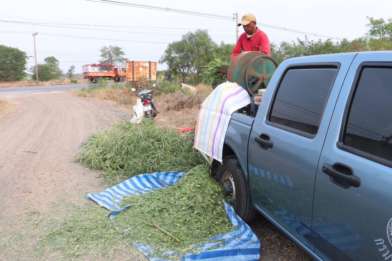 ภาพประกอบที่ 3