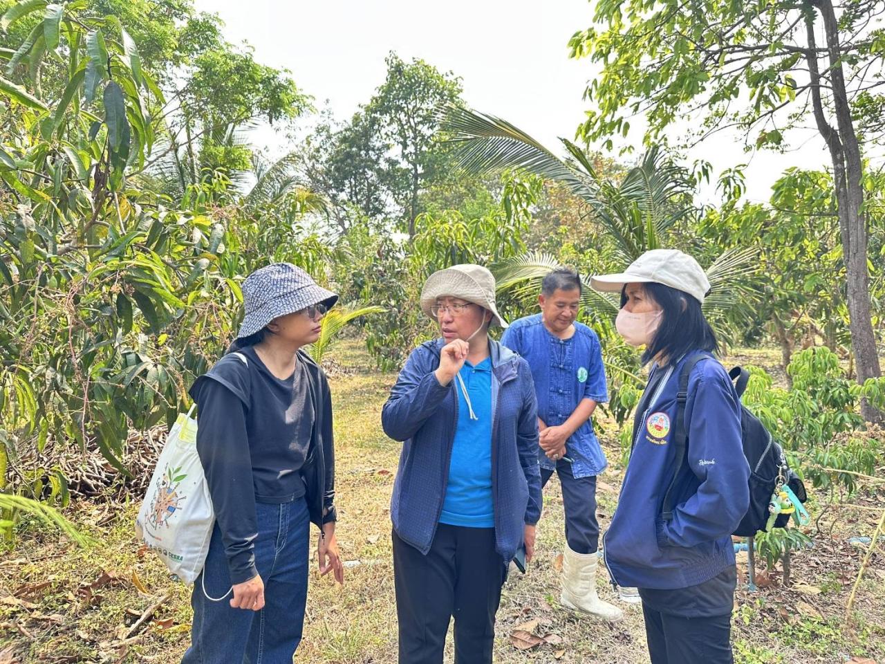 ภาพประกอบที่ 4