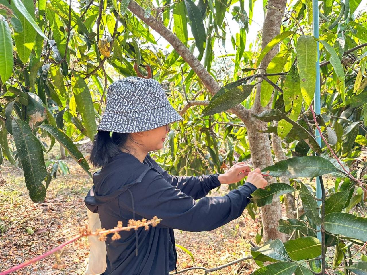 ภาพประกอบที่ 6