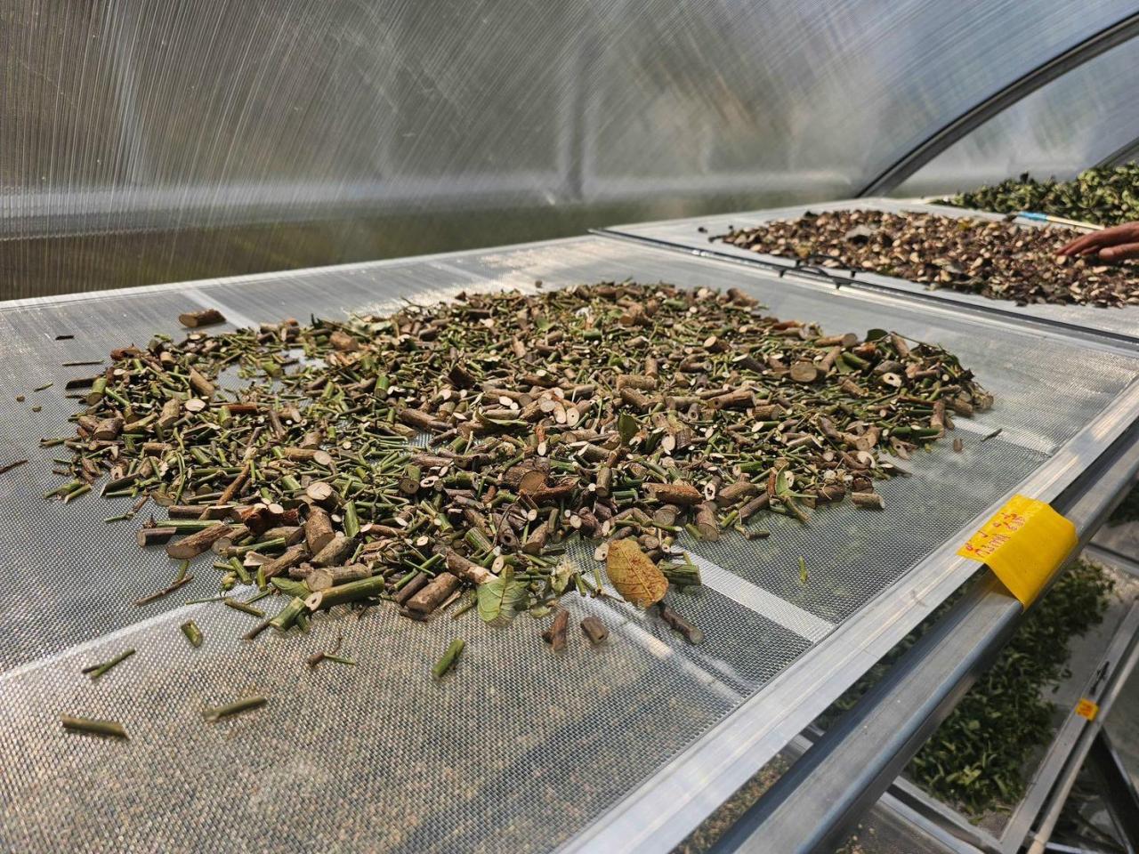 ภาพประกอบที่ 6