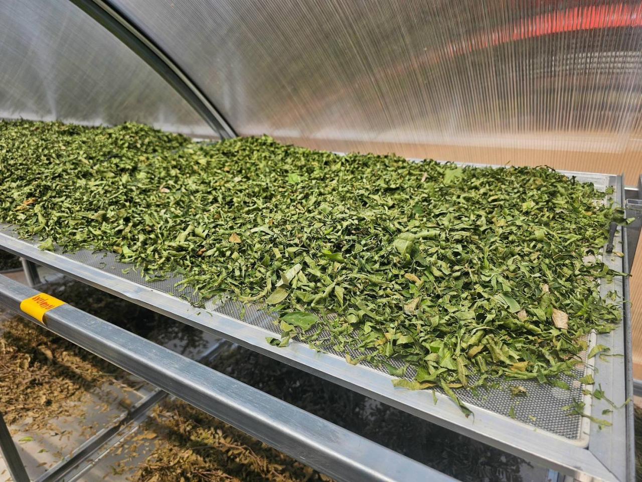 ภาพประกอบที่ 7