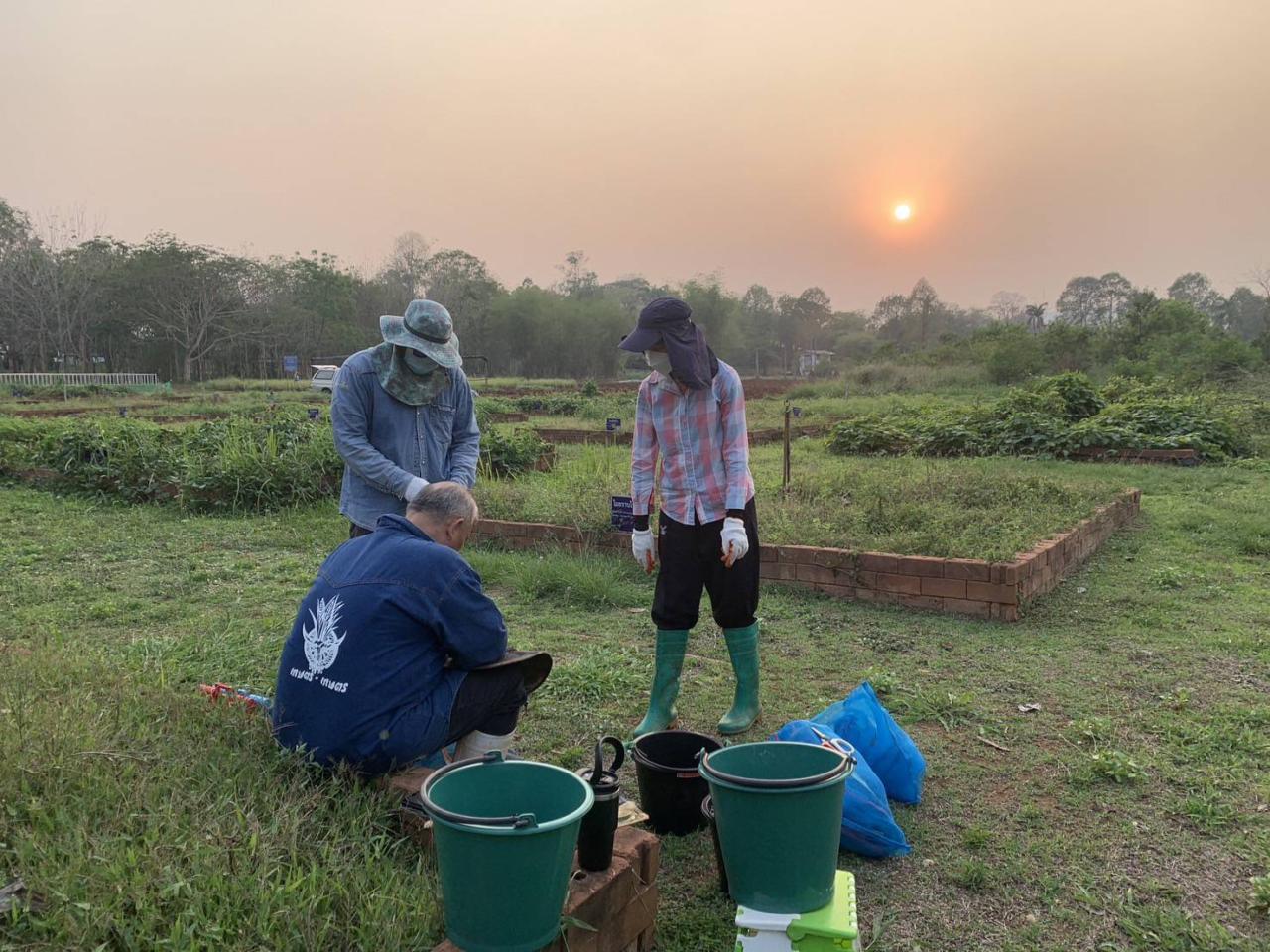 ภาพประกอบที่ 0