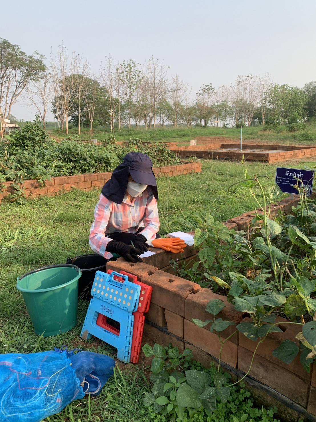 ภาพประกอบที่ 1