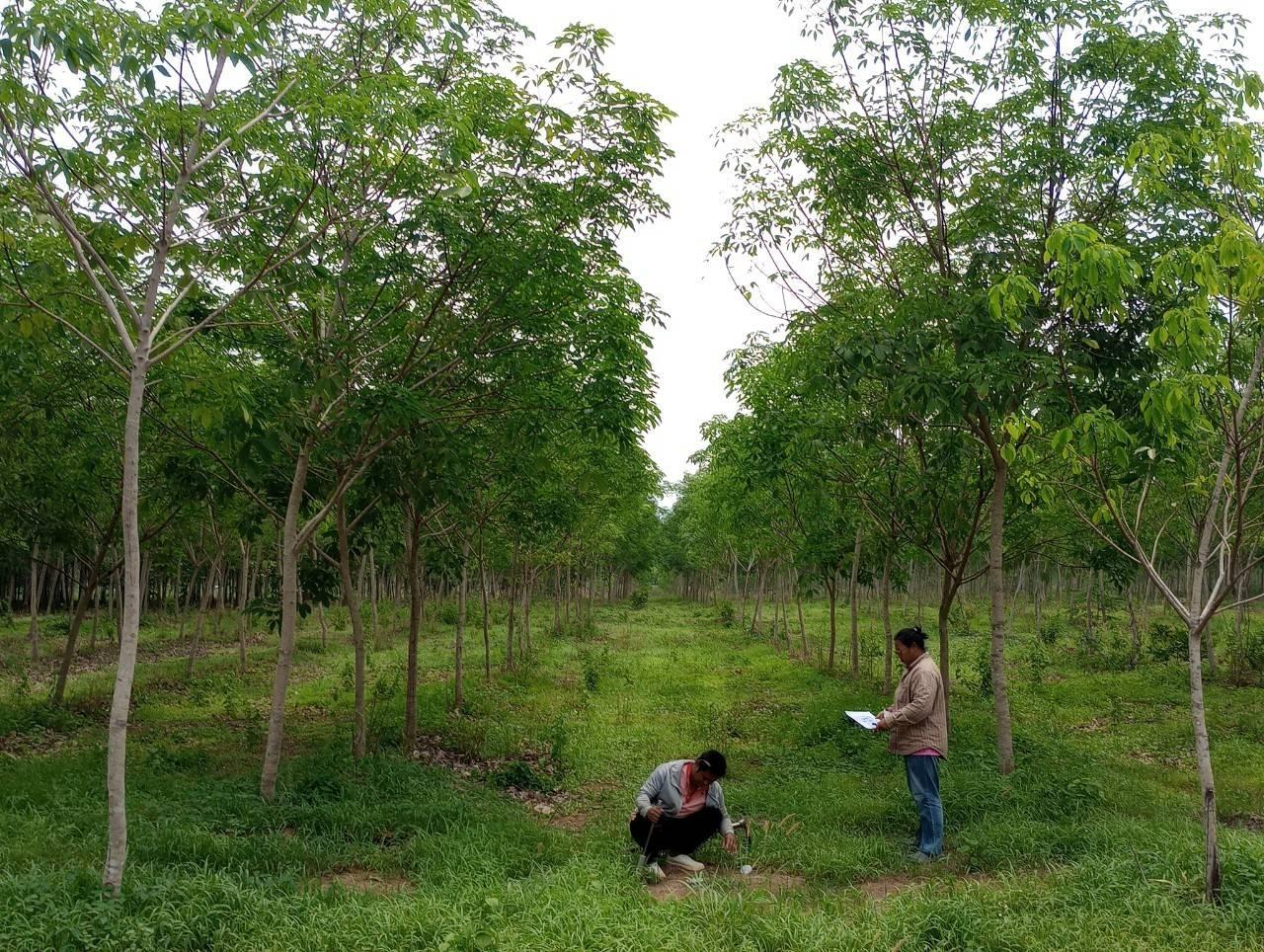 ภาพประกอบที่ 1