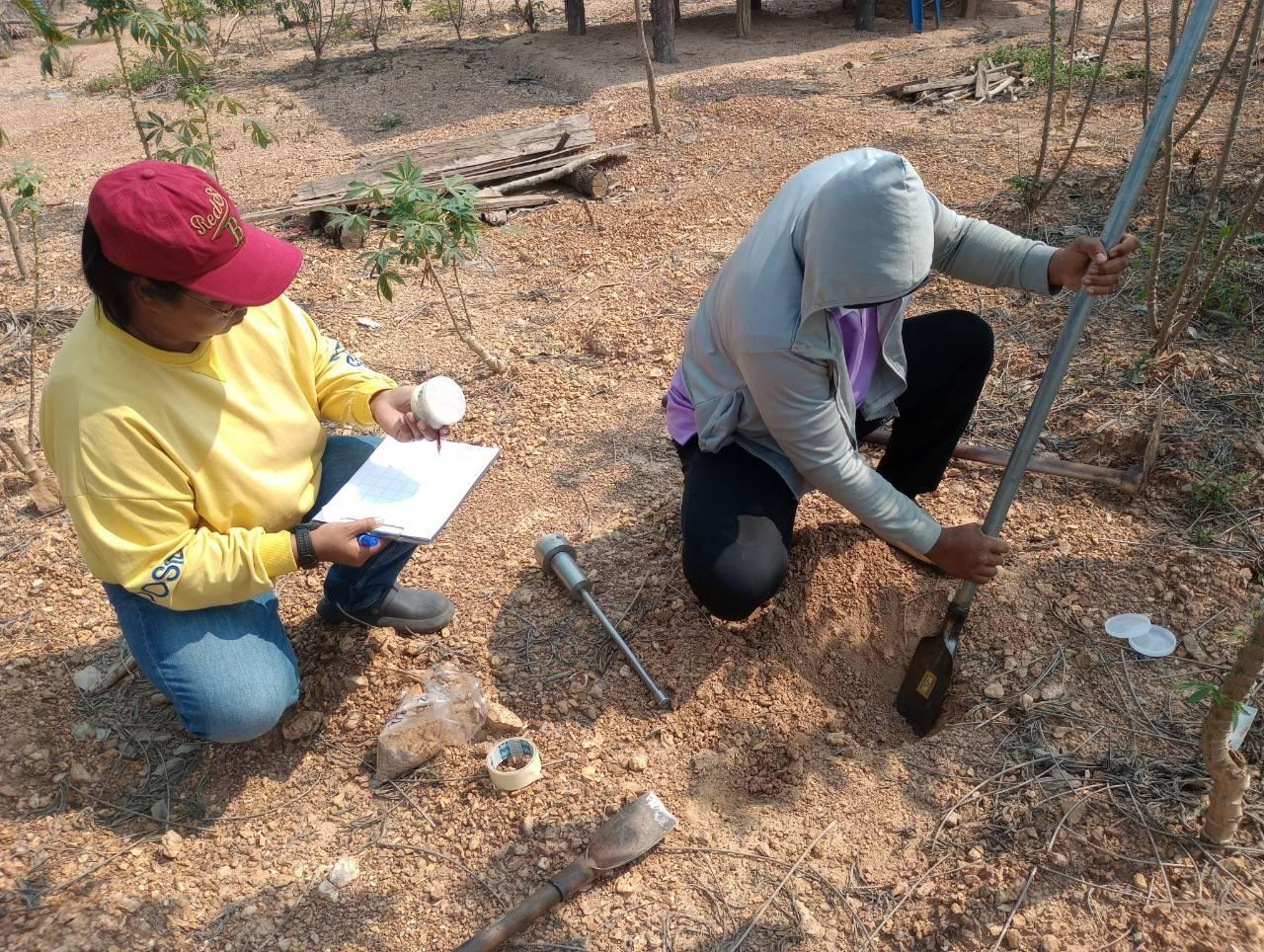 ภาพประกอบที่ 2