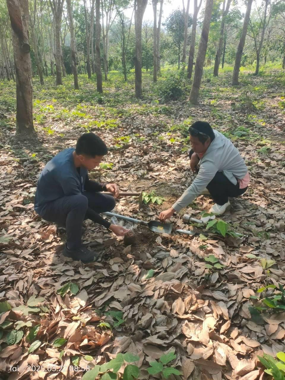 ภาพประกอบที่ 3