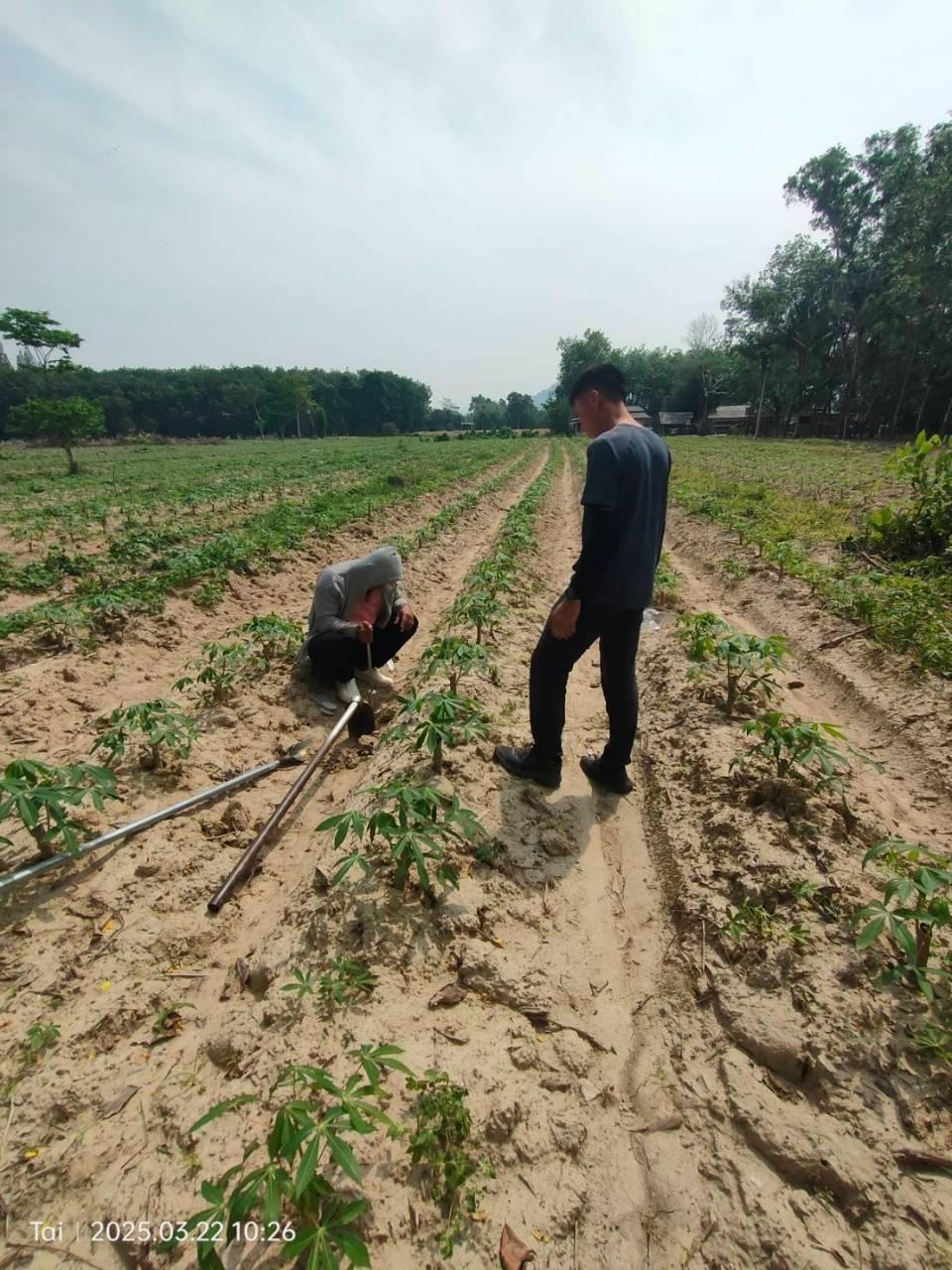 ภาพประกอบที่ 4