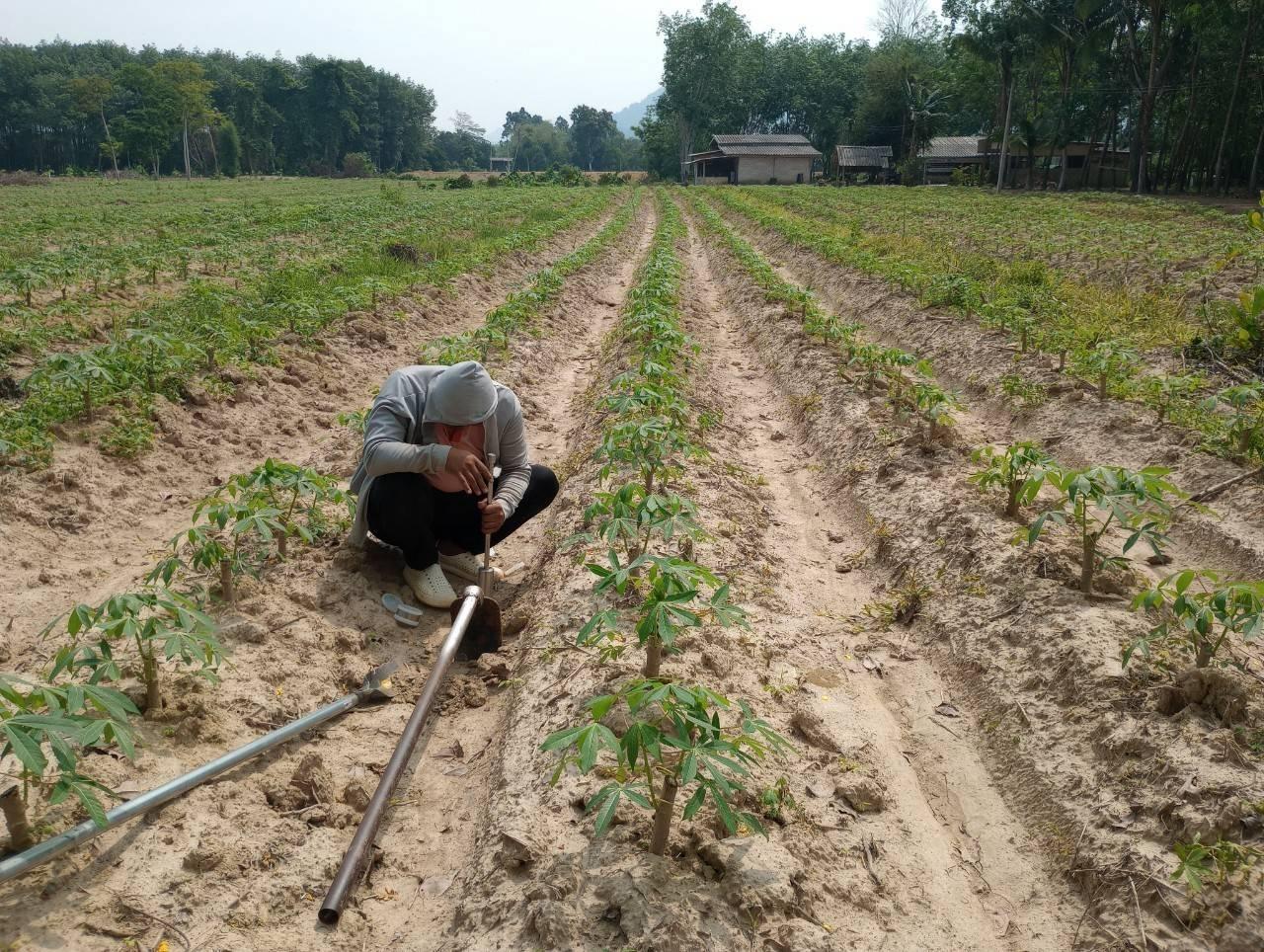 ภาพประกอบที่ 6