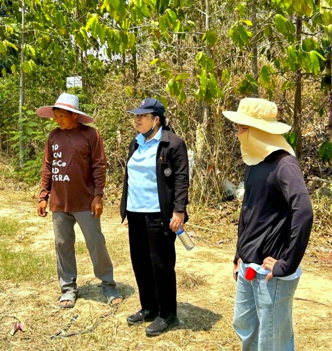 ภาพประกอบที่ 0