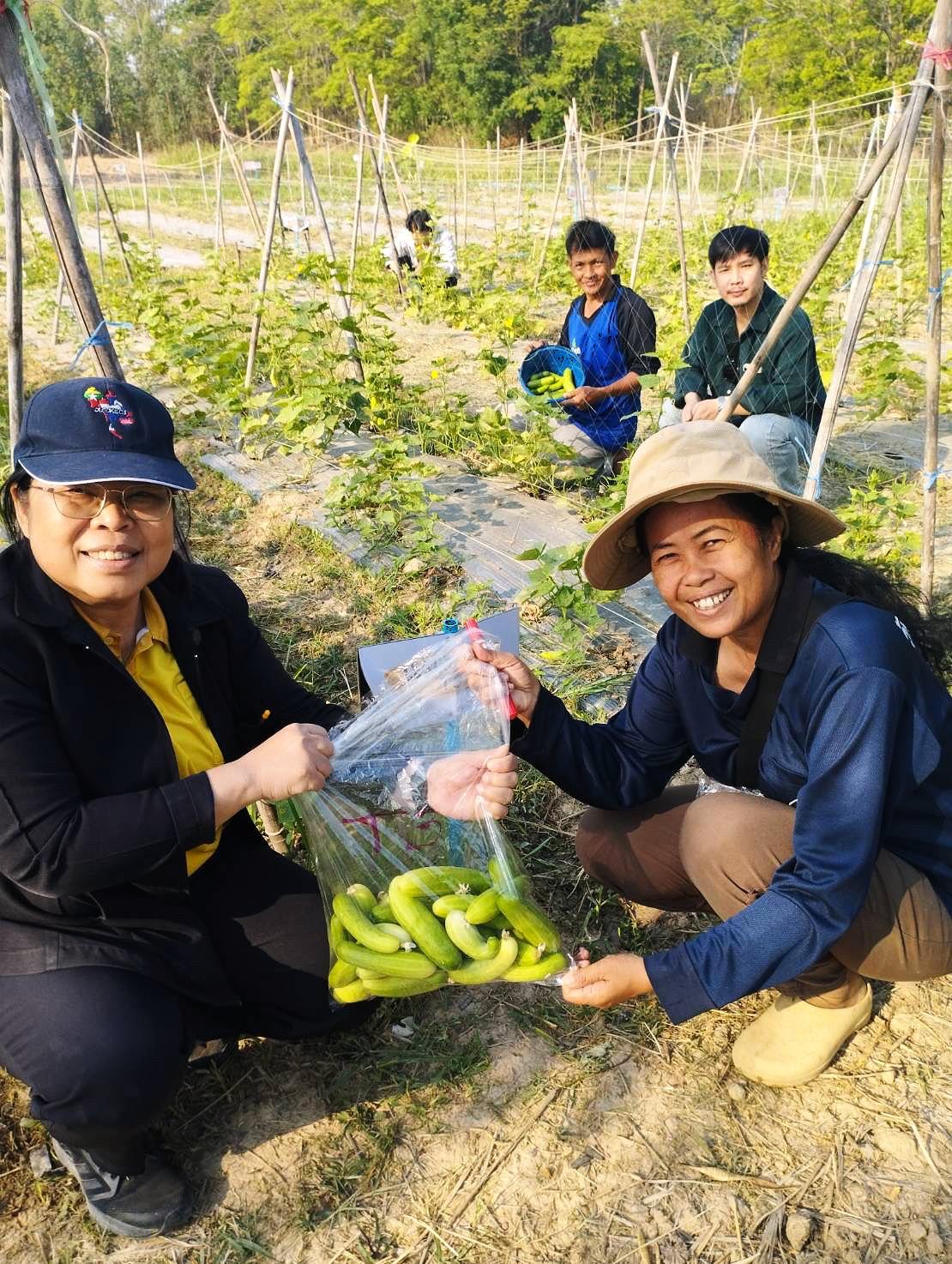 ภาพประกอบที่ 3