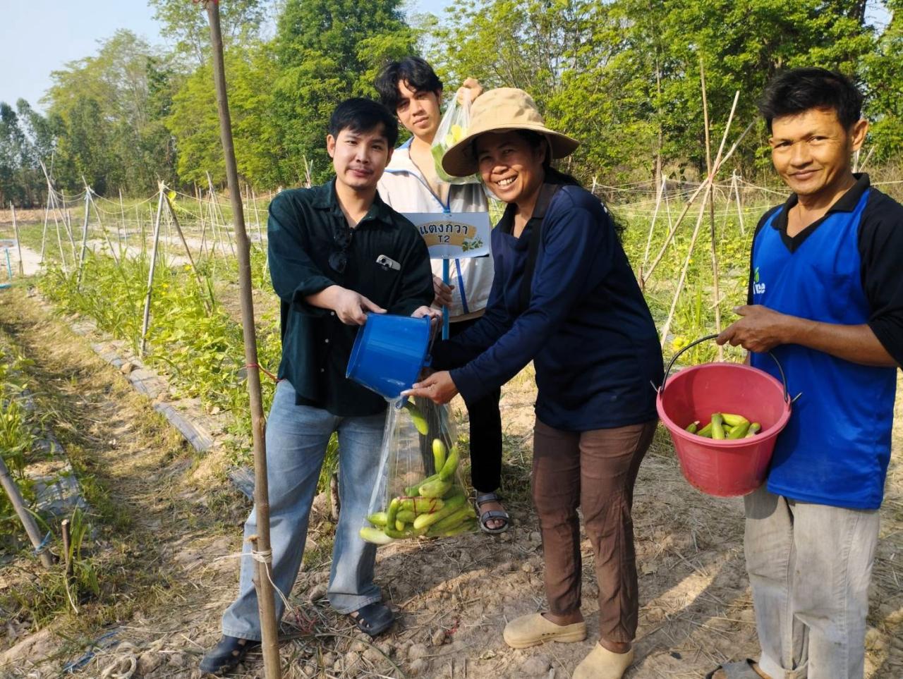 ภาพประกอบที่ 4