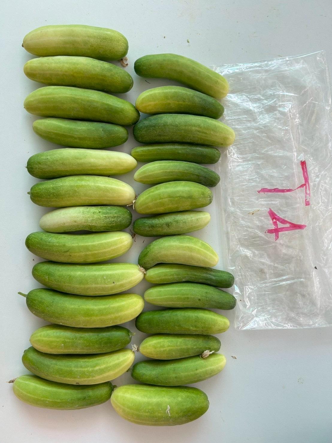 ภาพประกอบที่ 6