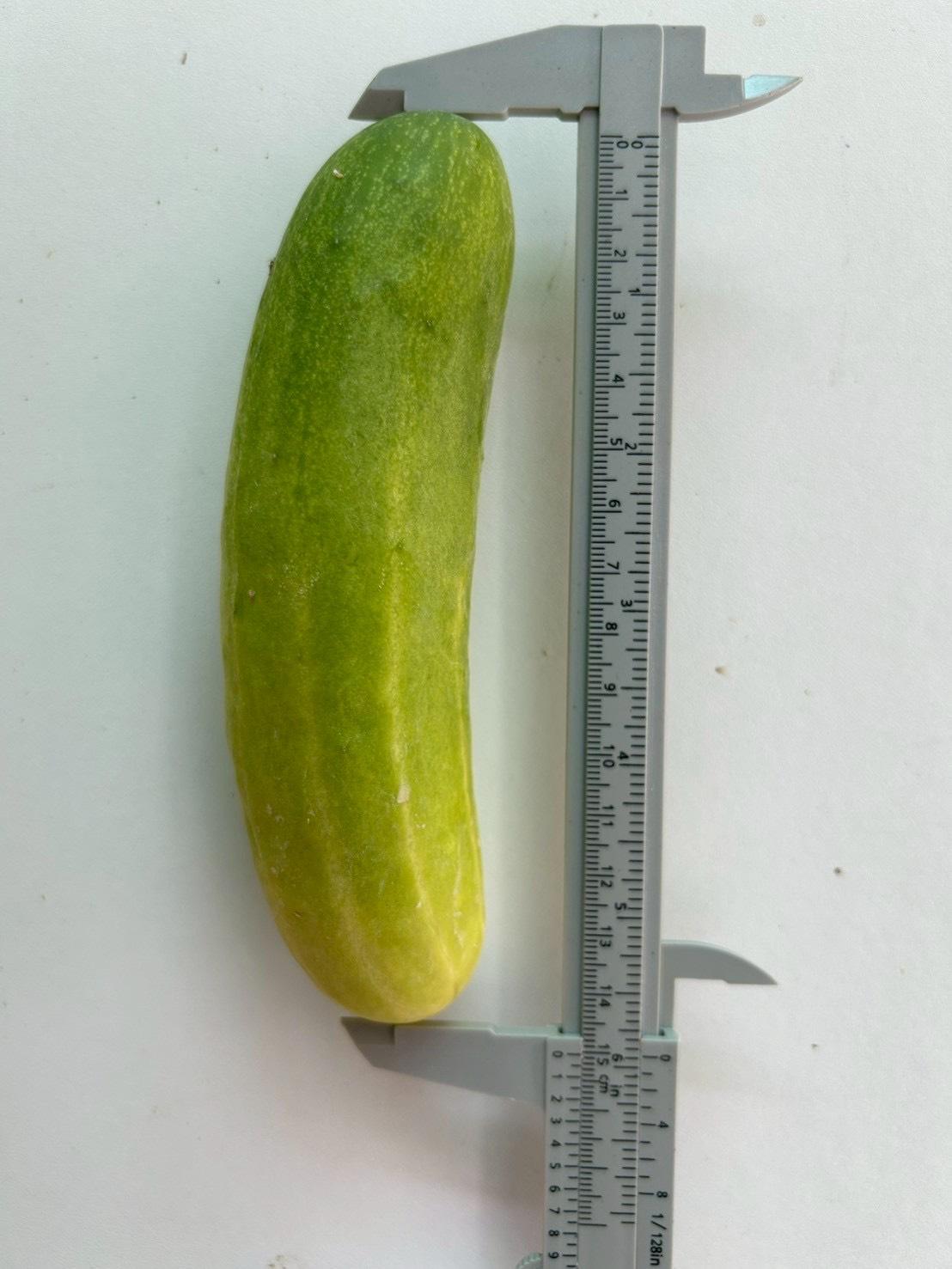 ภาพประกอบที่ 7