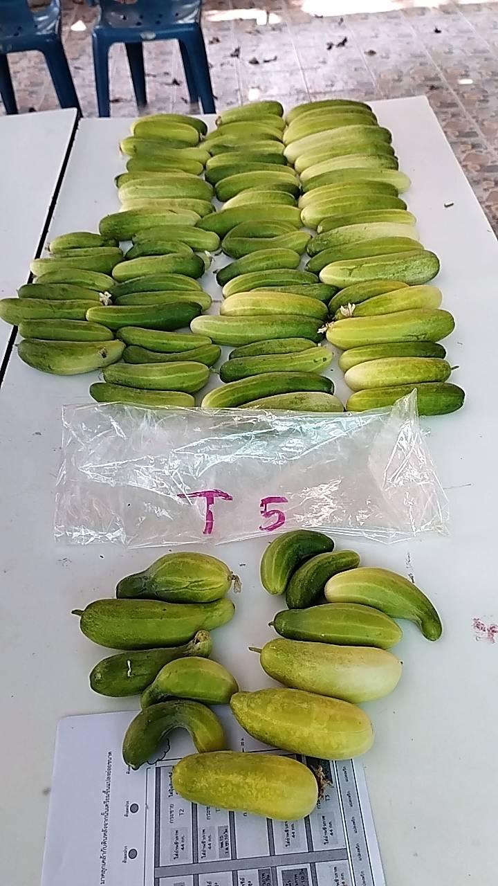 ภาพประกอบที่ 8