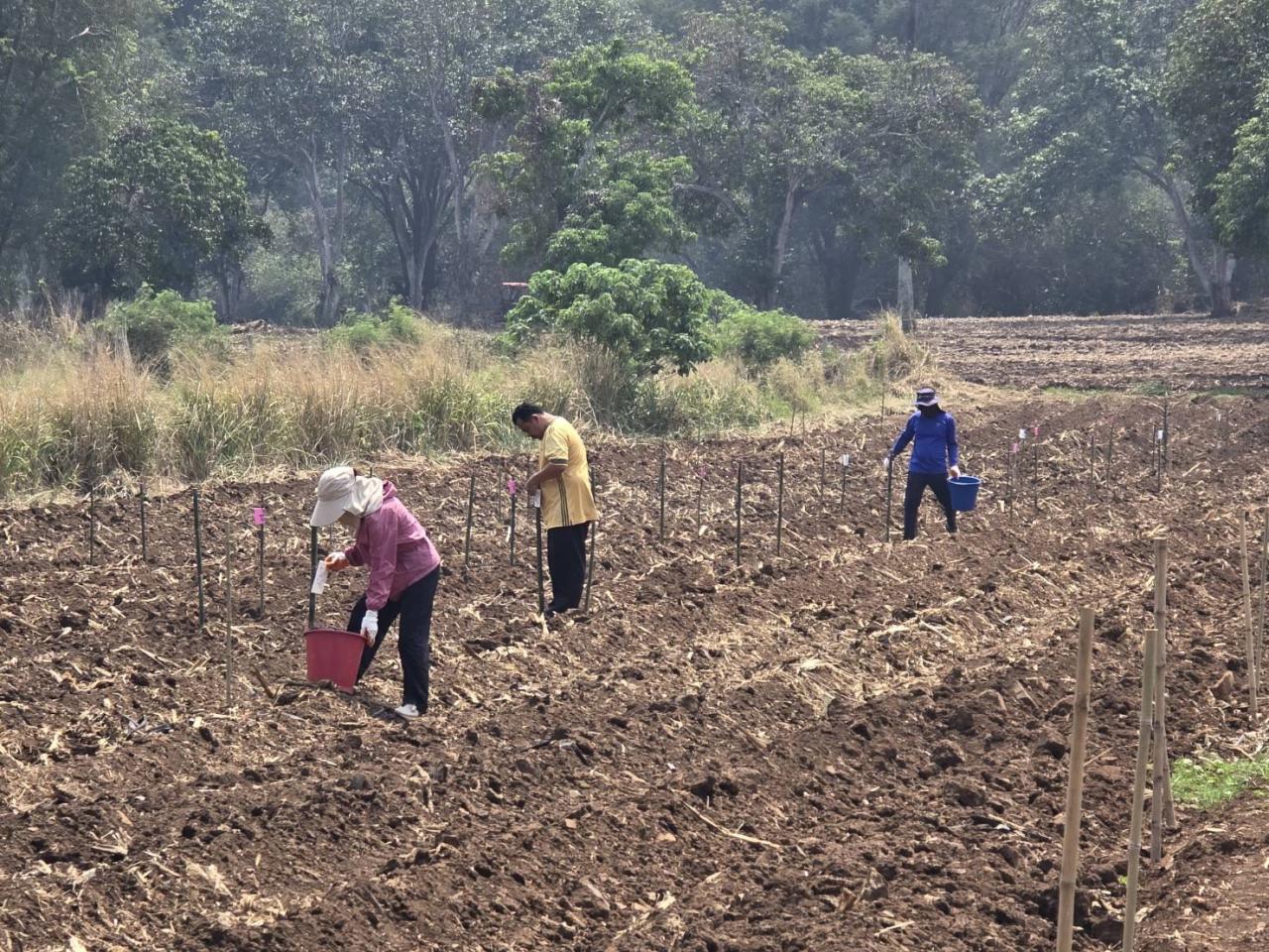 ภาพประกอบที่ 0
