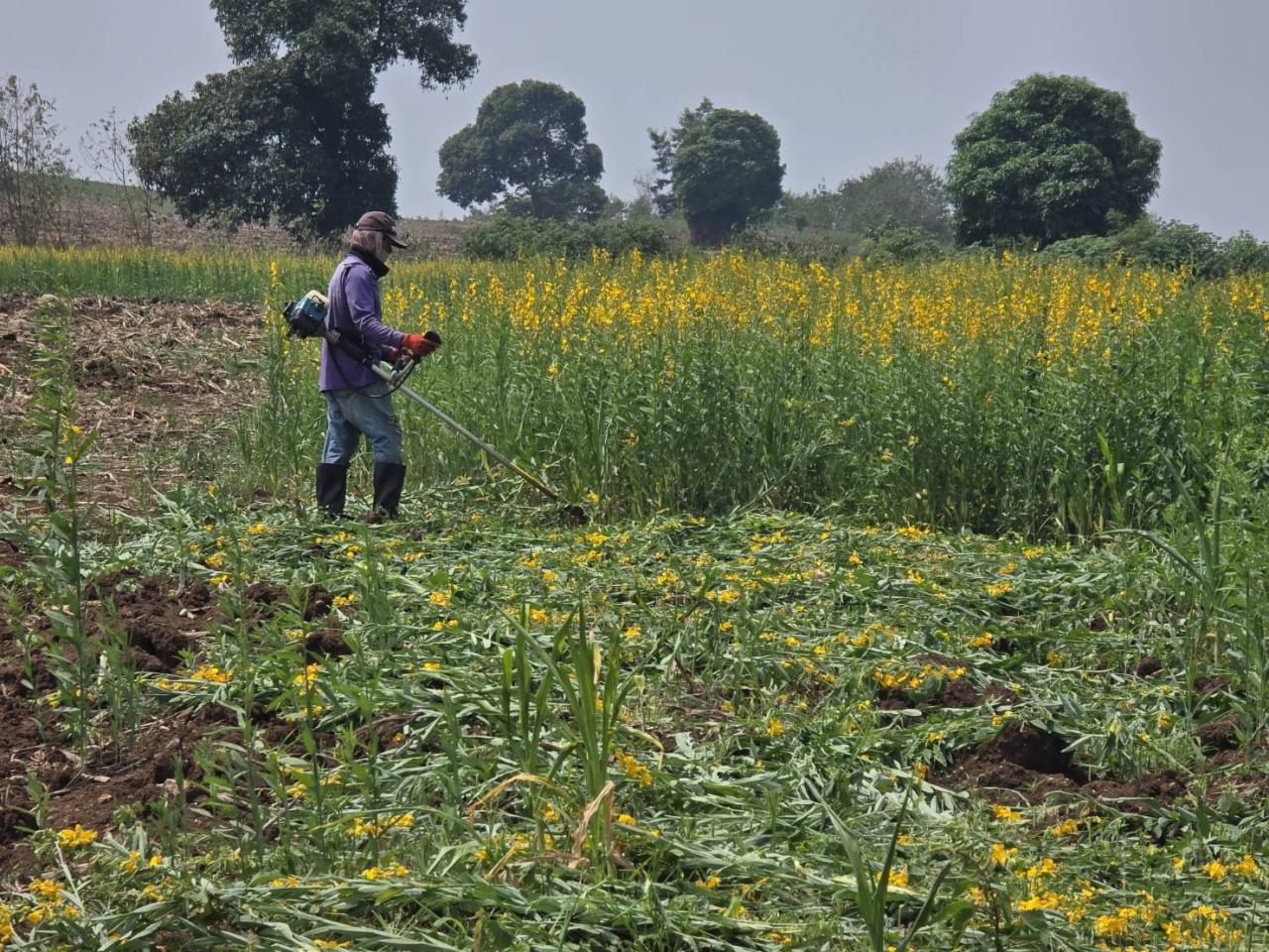 ภาพประกอบที่ 1