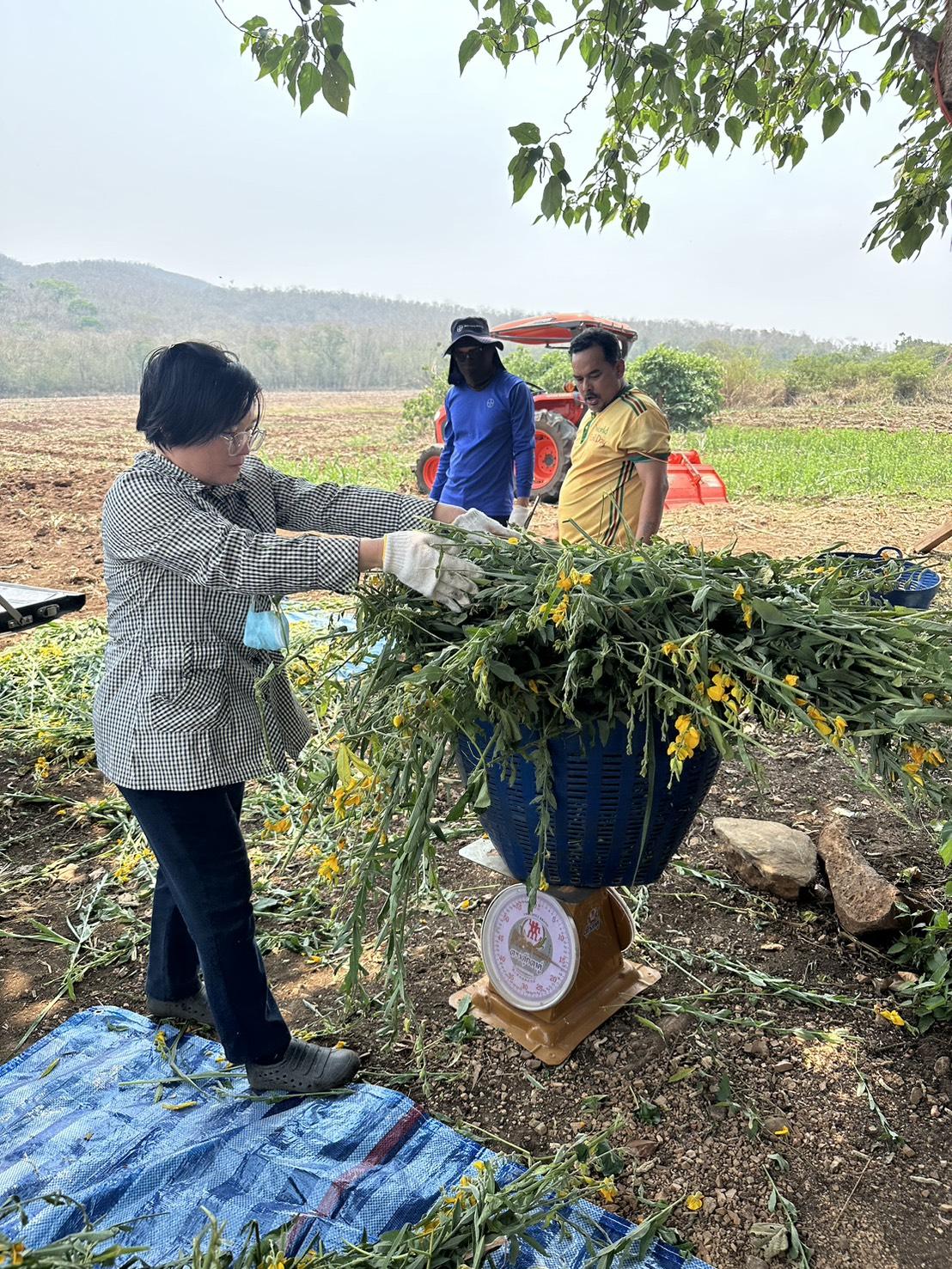ภาพประกอบที่ 2