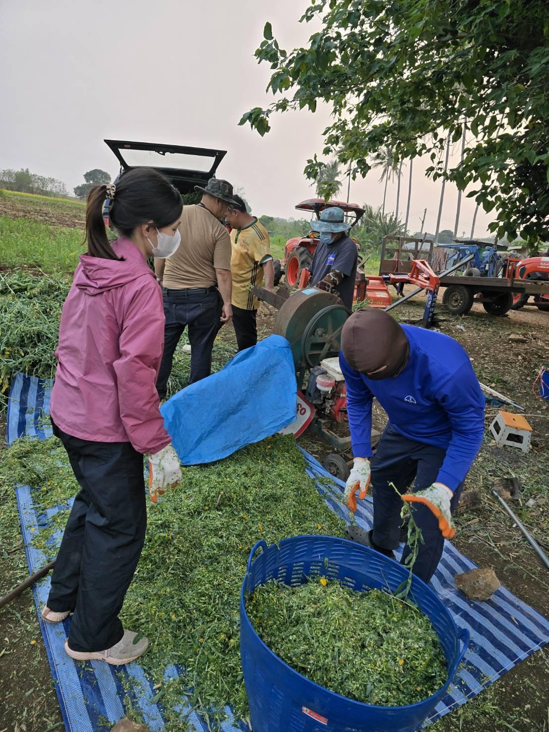 ภาพประกอบที่ 4