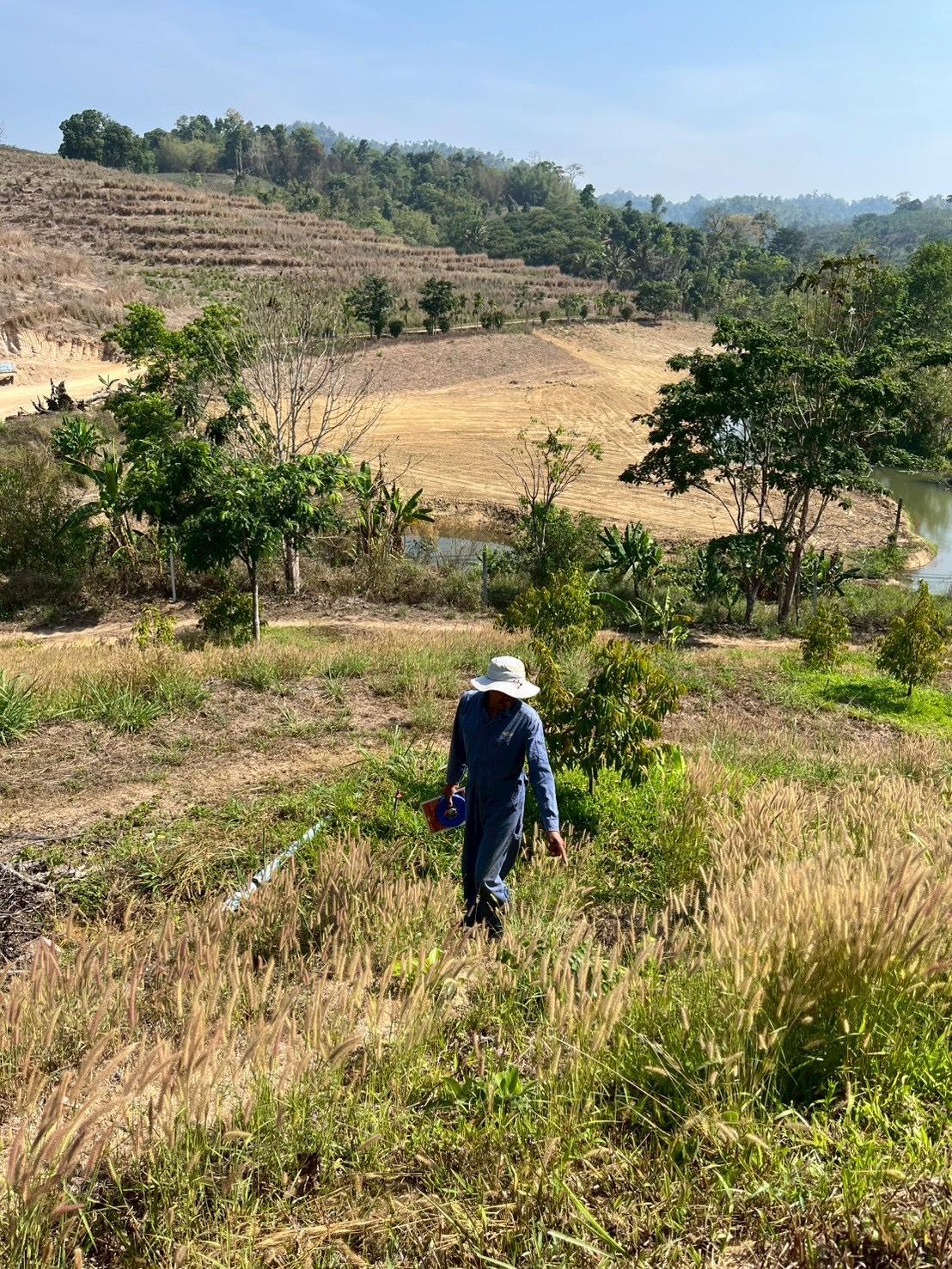 ภาพประกอบที่ 7