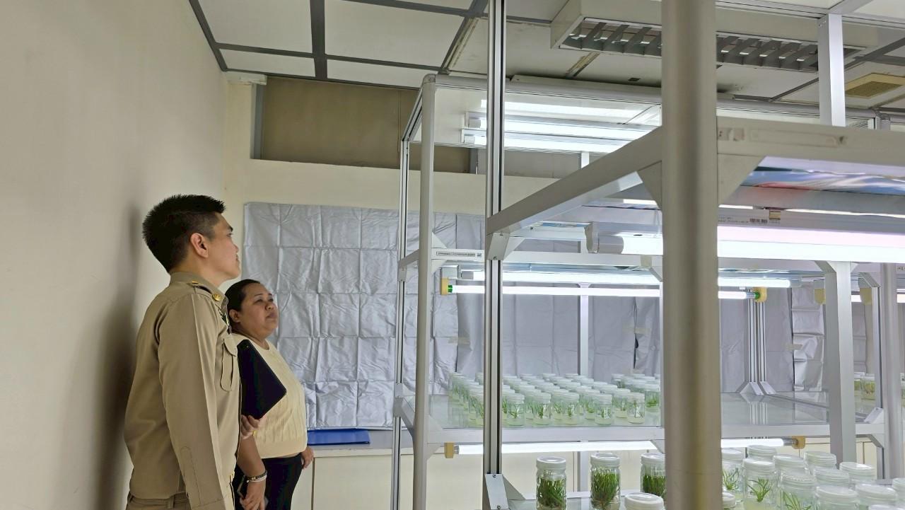 ภาพประกอบที่ 5