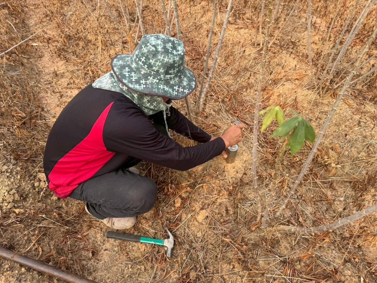 ภาพประกอบที่ 2