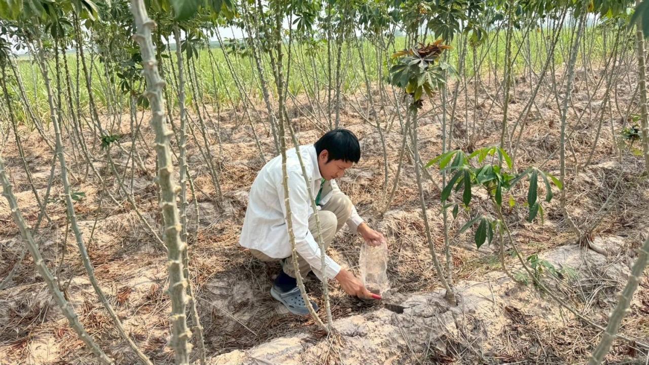 ภาพประกอบที่ 4