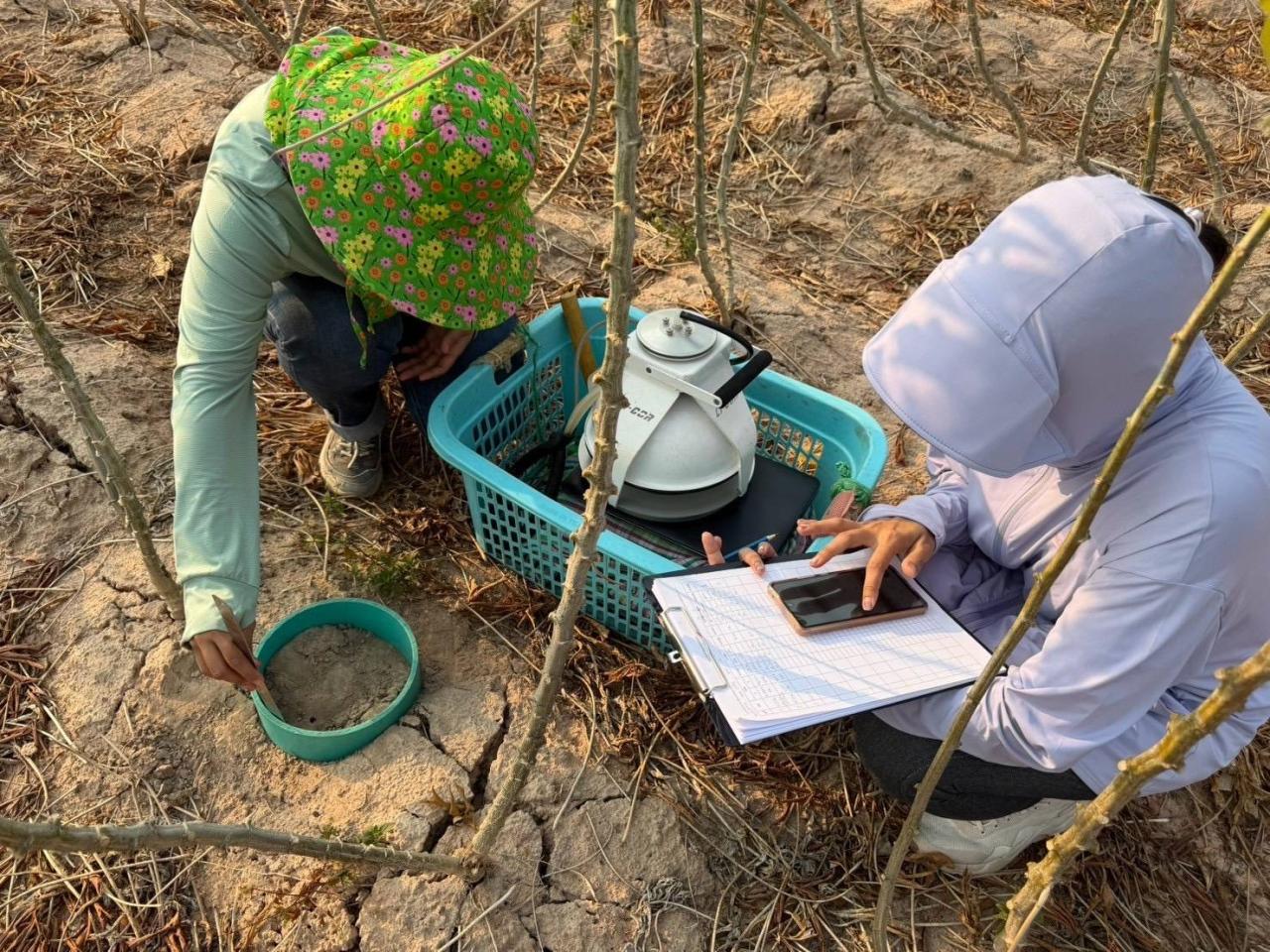 ภาพประกอบที่ 5