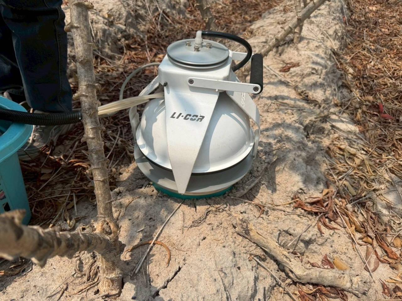 ภาพประกอบที่ 6