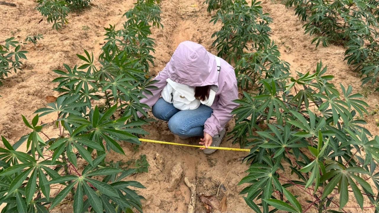 ภาพประกอบที่ 7