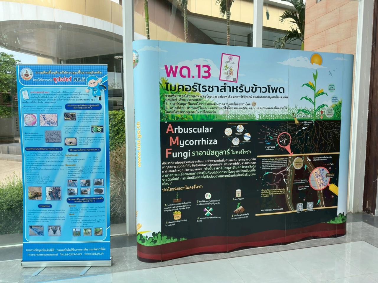 ภาพประกอบที่ 3