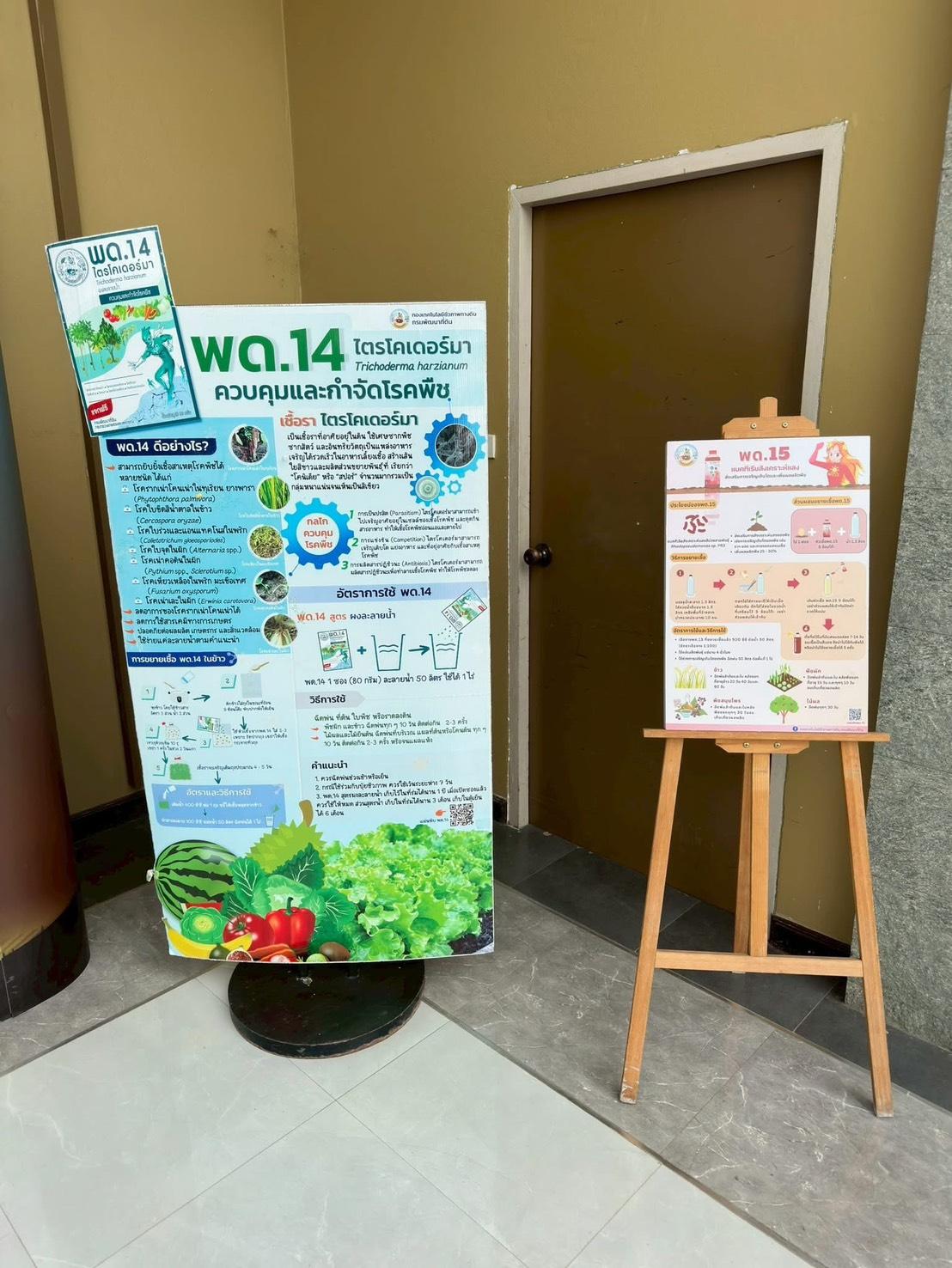 ภาพประกอบที่ 4