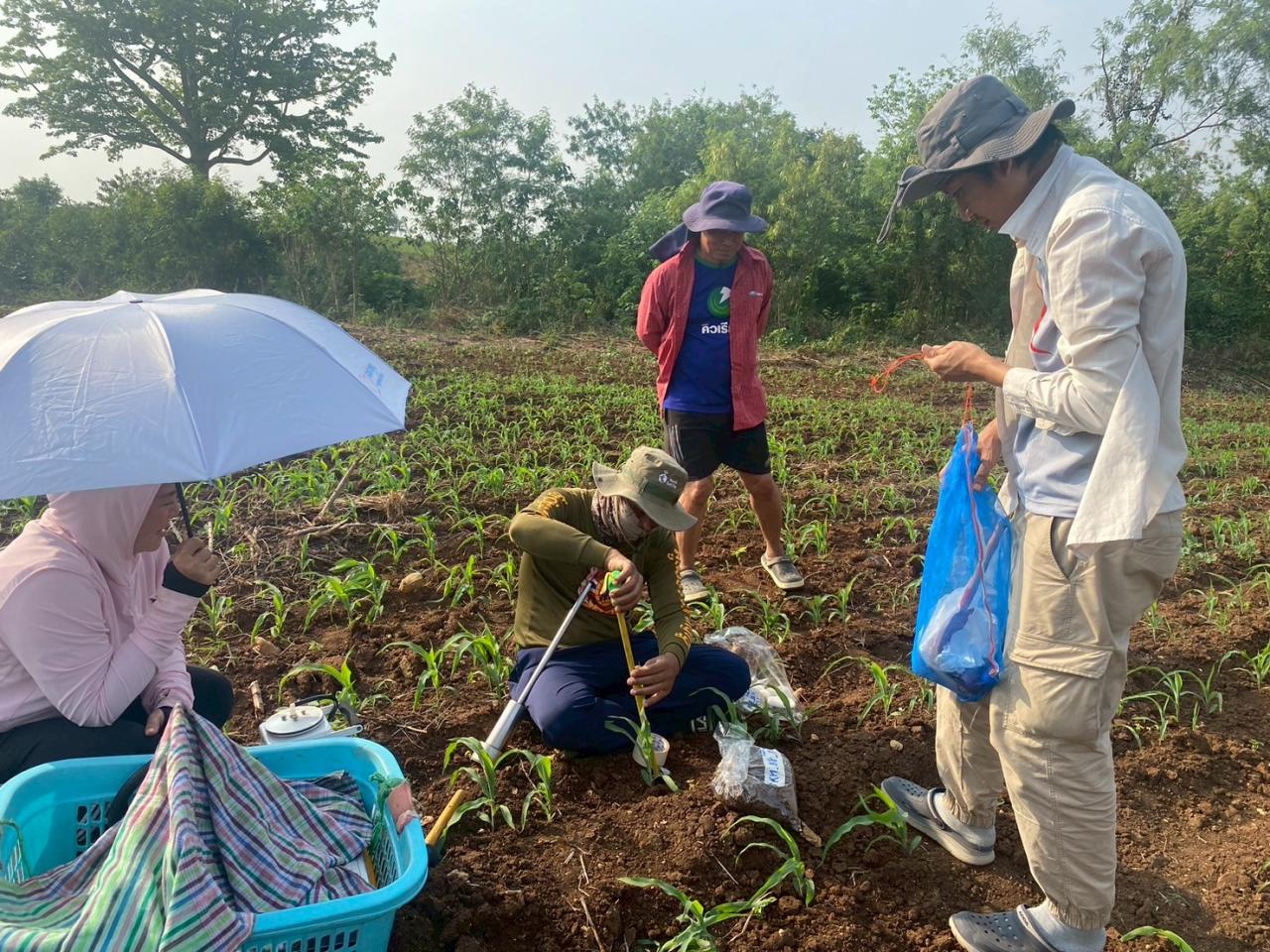 ภาพประกอบที่ 0